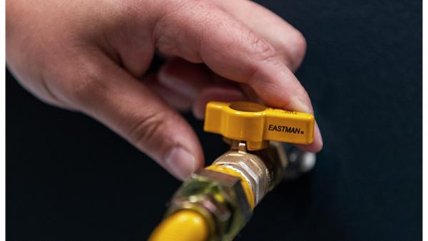 Eastman application photo